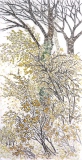 Buisson jaune - Lecture de la nature