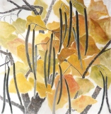 L'automne dans le Catalpa - Lecture de la nature