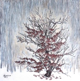 Parrotia persica    49x48cm - Lecture de la nature