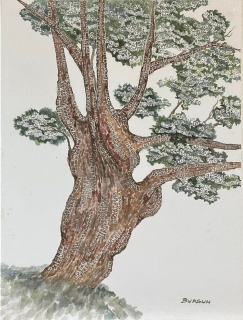 Le viel arbre - Œuvres récentes